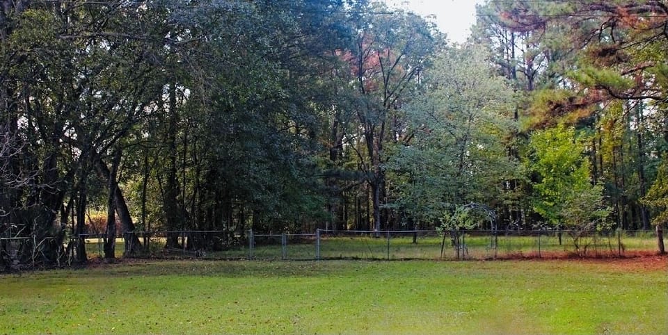 Large Peaceful Backyard