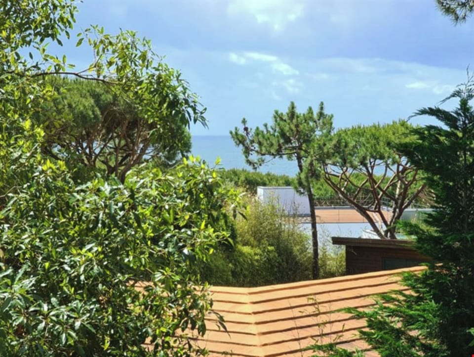 Ocean view