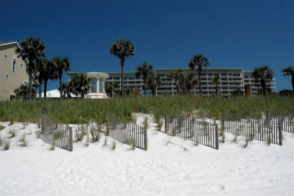 View of the Condo from the Beach