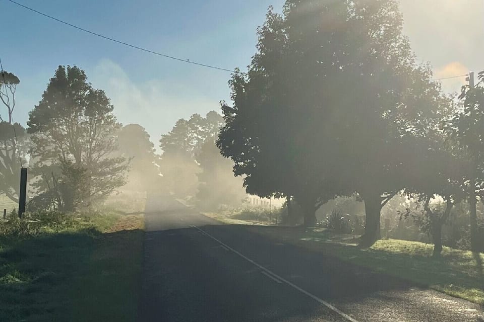 Misty morning in the Sunshine Coast Hinterland
