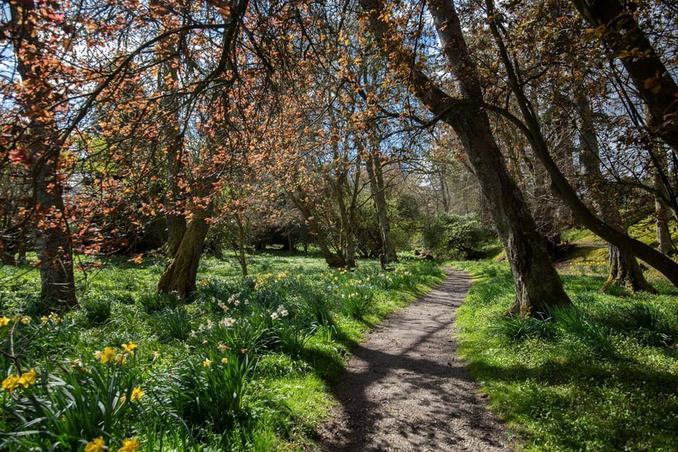 The Hayloft, Kailzie - one of the many woodland trails on the wider Kailzie Estate
