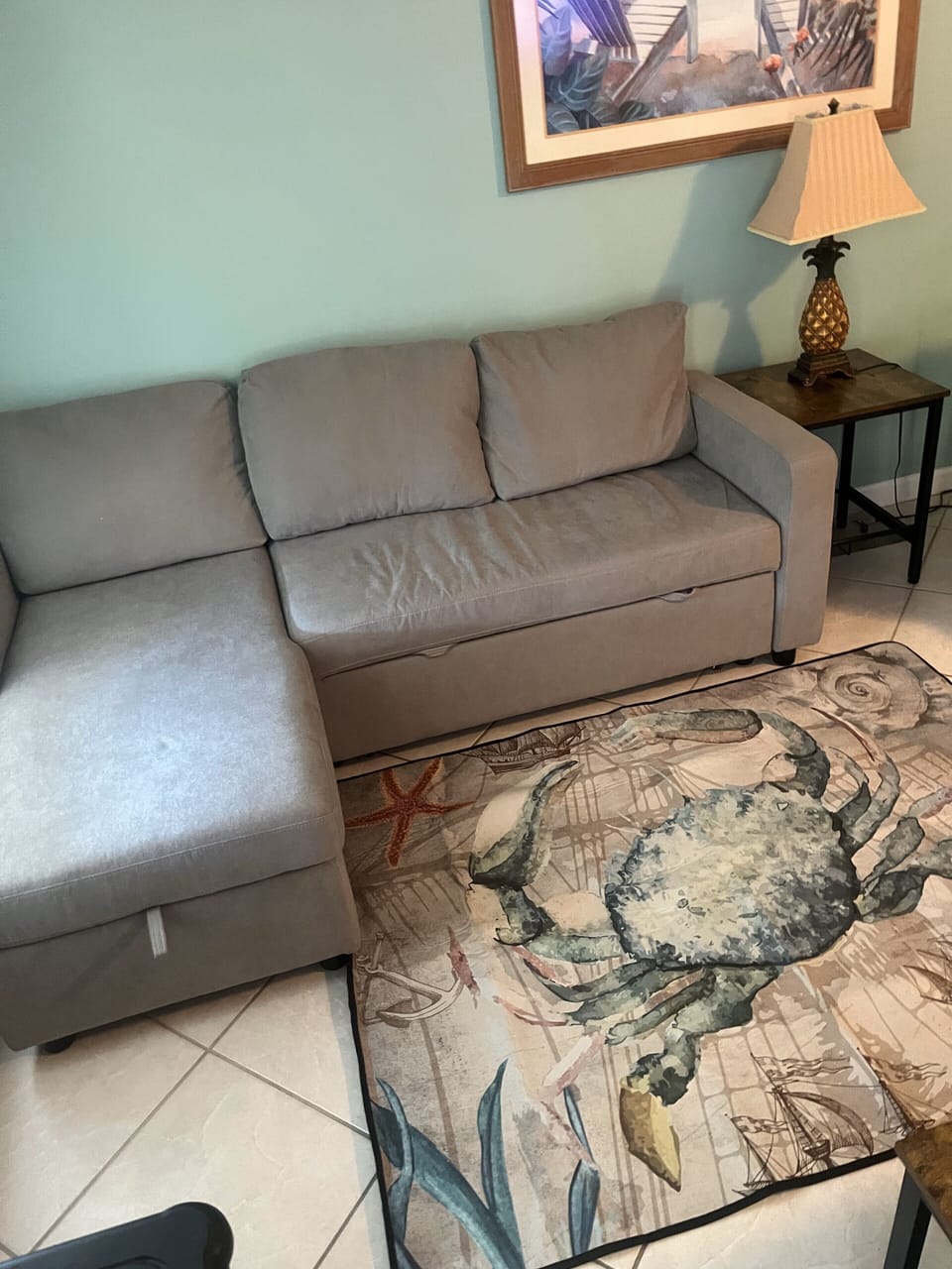 Living room with new pullout bed