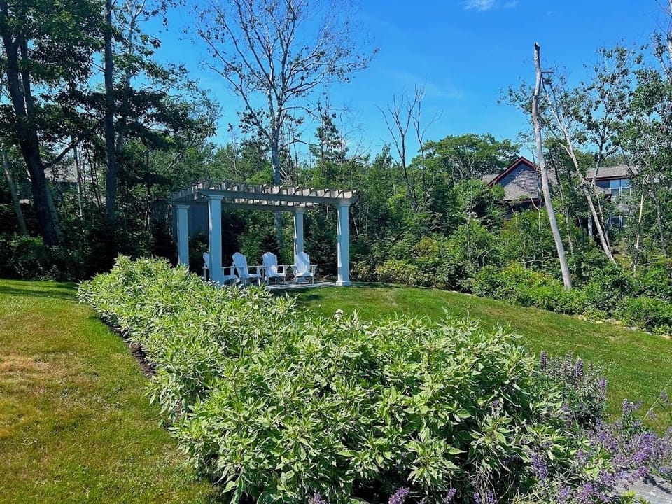 Side yard