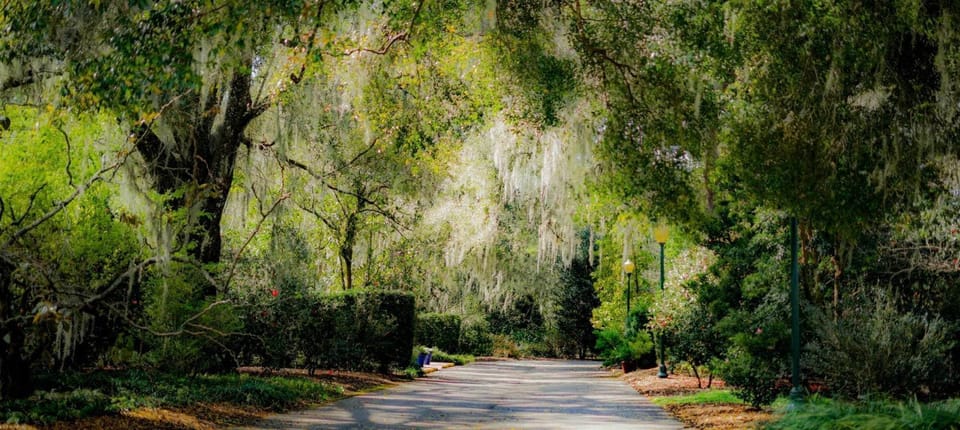 Harry P Leu Gardens is the perfect place to relax, it has different sections where you can wander through bountiful vegetable garden, a tropical rainforest or towering oaks covered in Spanish moss