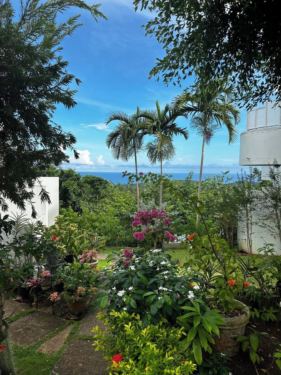 Shared pool surrounded by lush tropical greenery with Caribbean Sea views