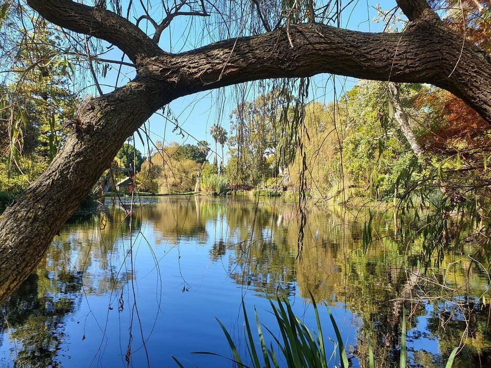 Tranquil lake inside the Ripponlea Estate