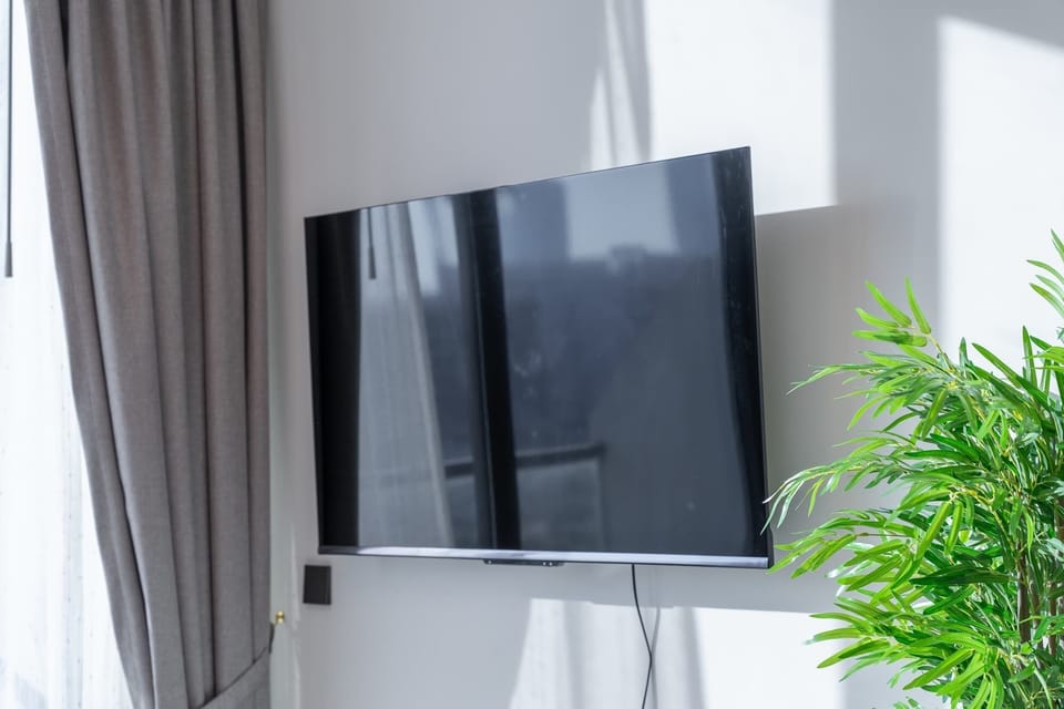 Television