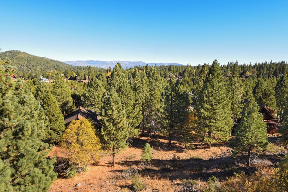 forest views from deck