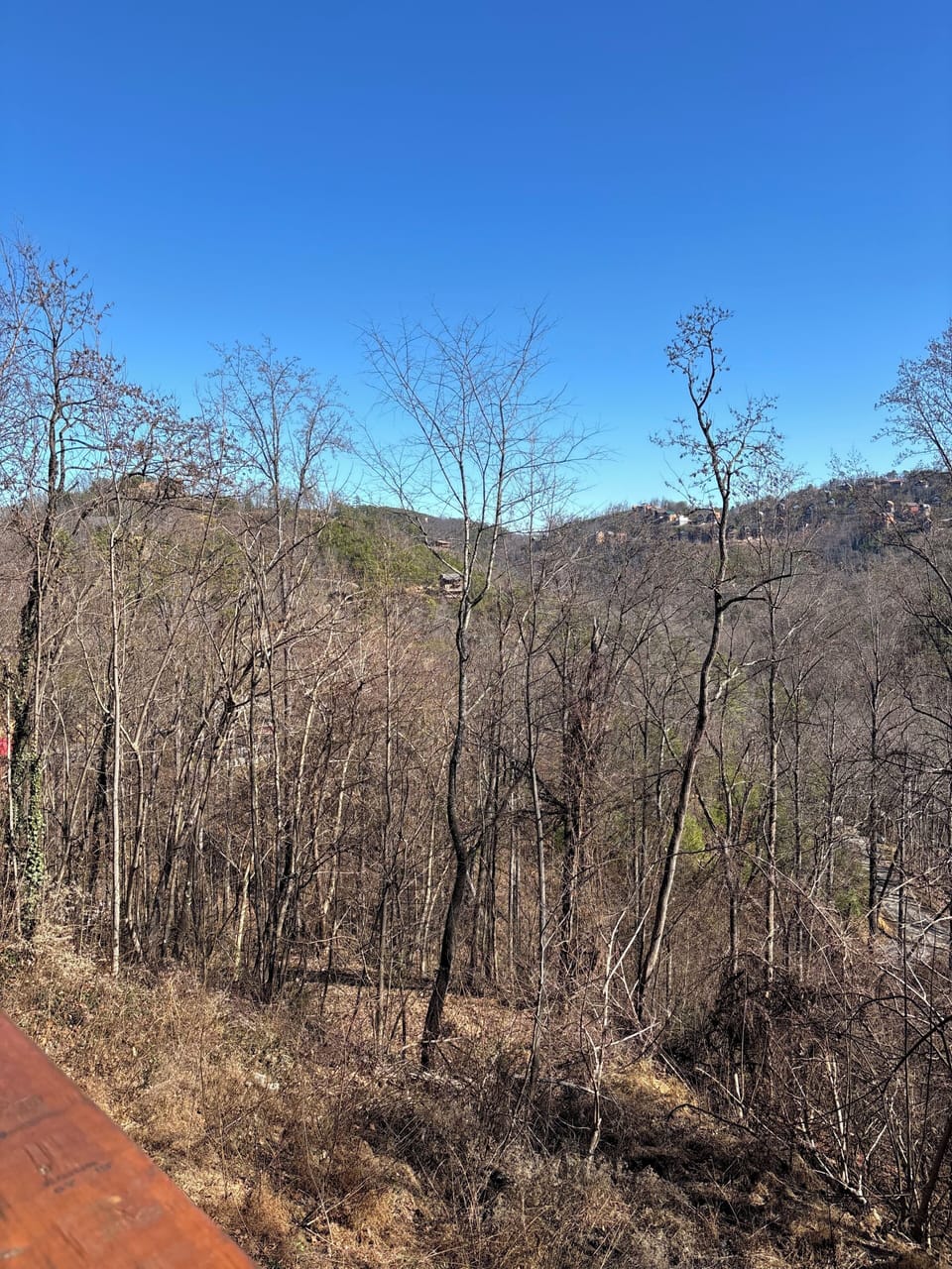View from property