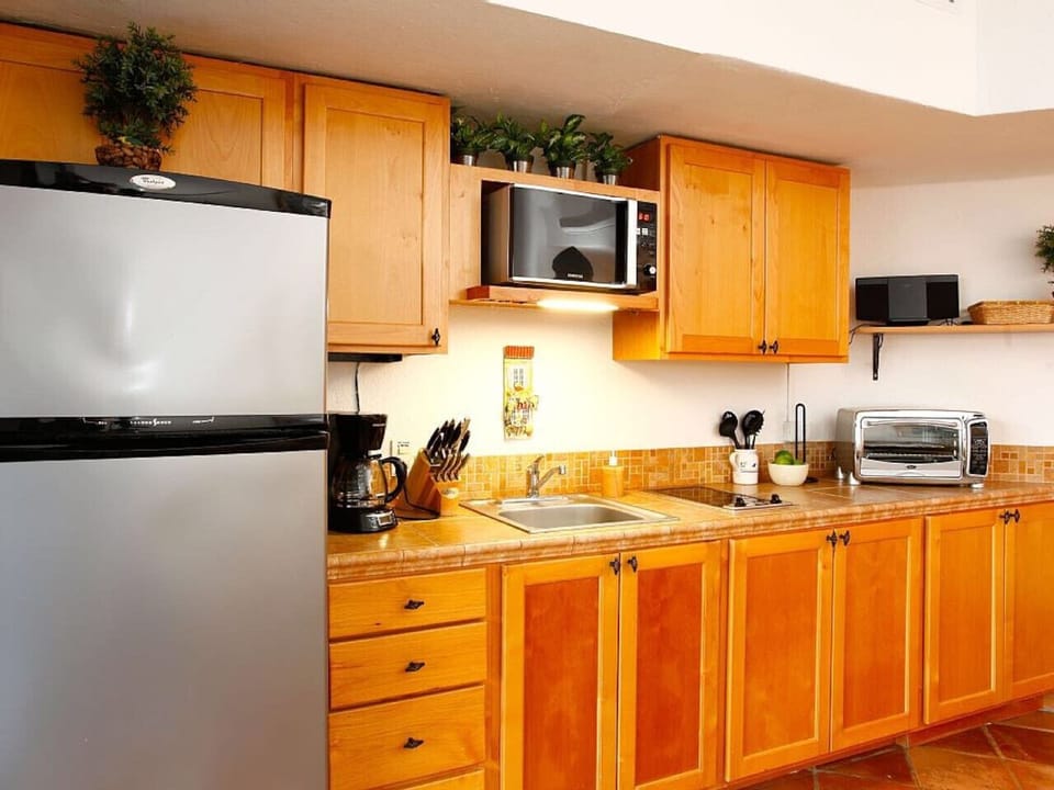Kitchen Close-Up – Functional kitchen with microwave, fridge, toaster oven, and wooden cabinets.