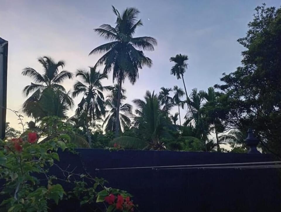 Dusk and sunrise provide a kaleidoscope of design wherever you look