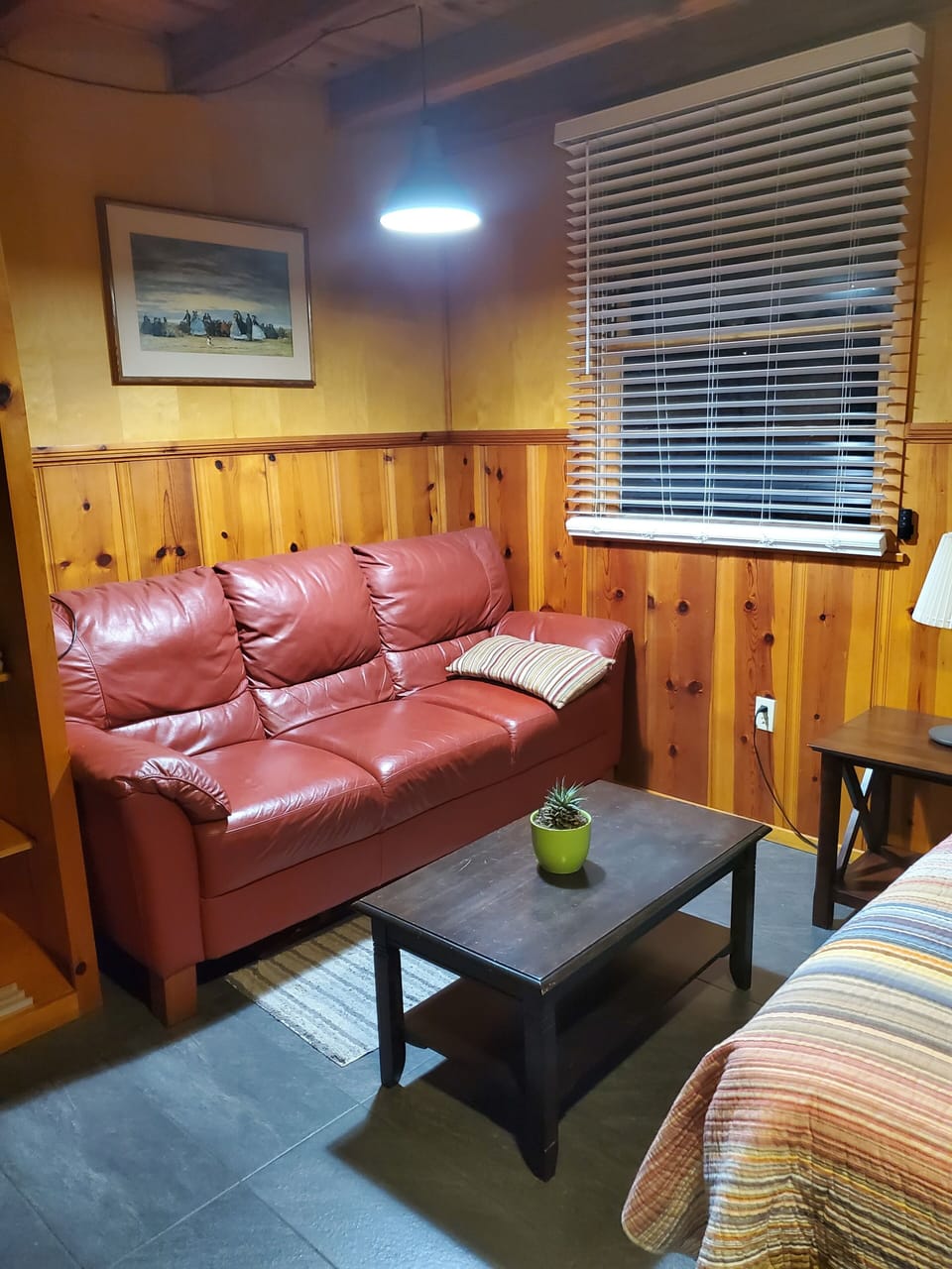 Comfy sofa and coffee table