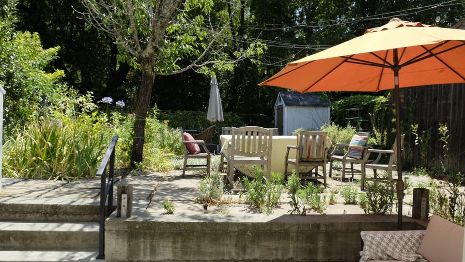 Shared backyard space with garden.