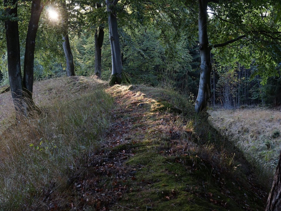 Surroundings [summer] (1-5 km)