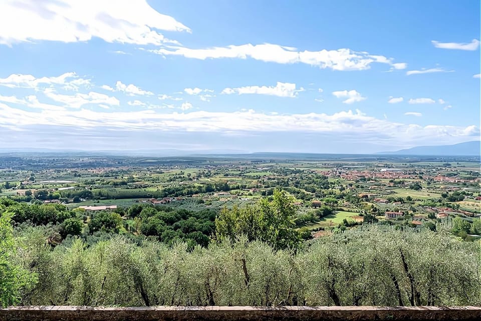 View from Holiday Home [summer]