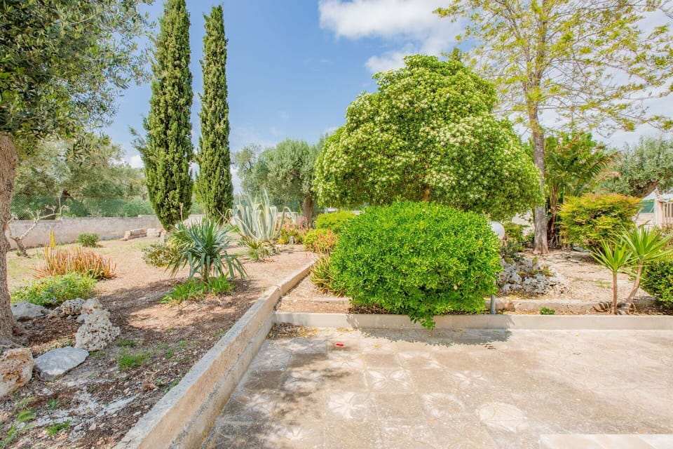 Shrub, Garden, Plant Community, Groundcover, Woody Plant, Landscaping, Botanical Garden, Walkway, Shade