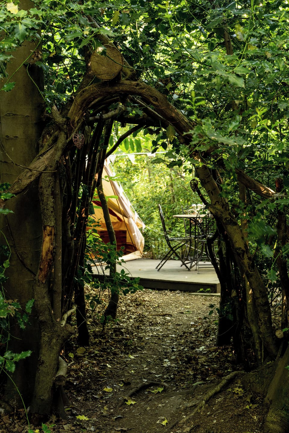 Tree tunnel into the bedouin Bell tent area