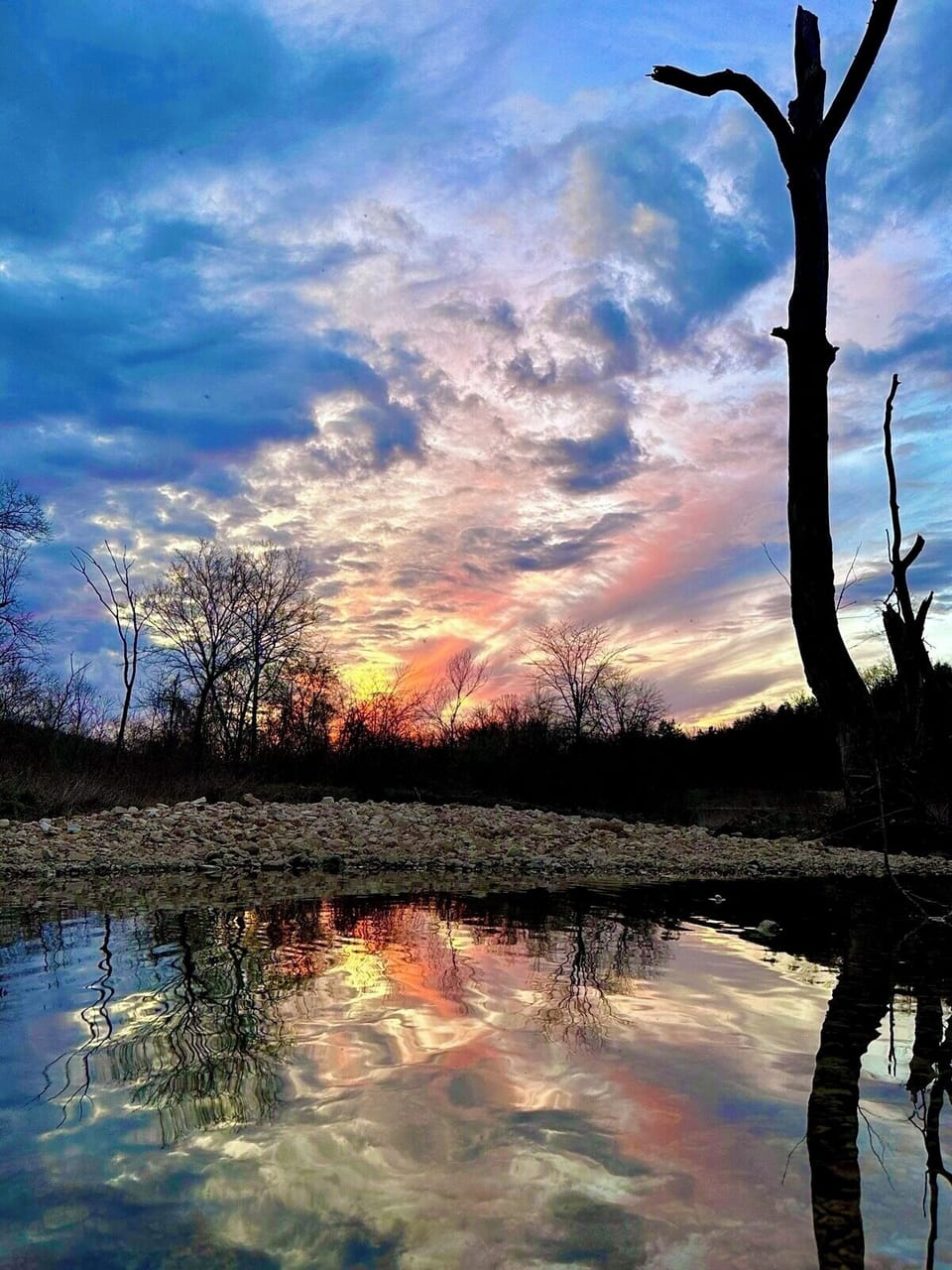 Table Rock Lake access
• Cricket Creek Marina
• Branson shows and attractions
• Silver Dollar City
• Ozark hiking and outdoor adventures
You’ll enjoy the peace of the woods while staying close to everything the Branson area offers.