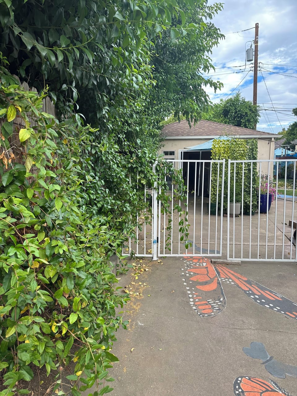 Property grounds