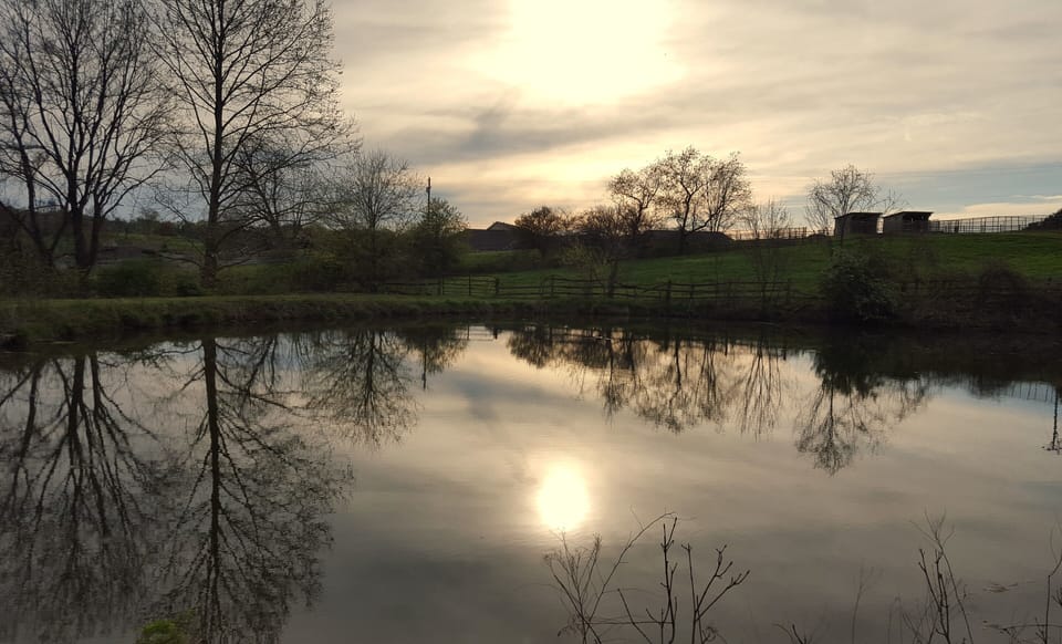 Catch & Release Fishing Pond
