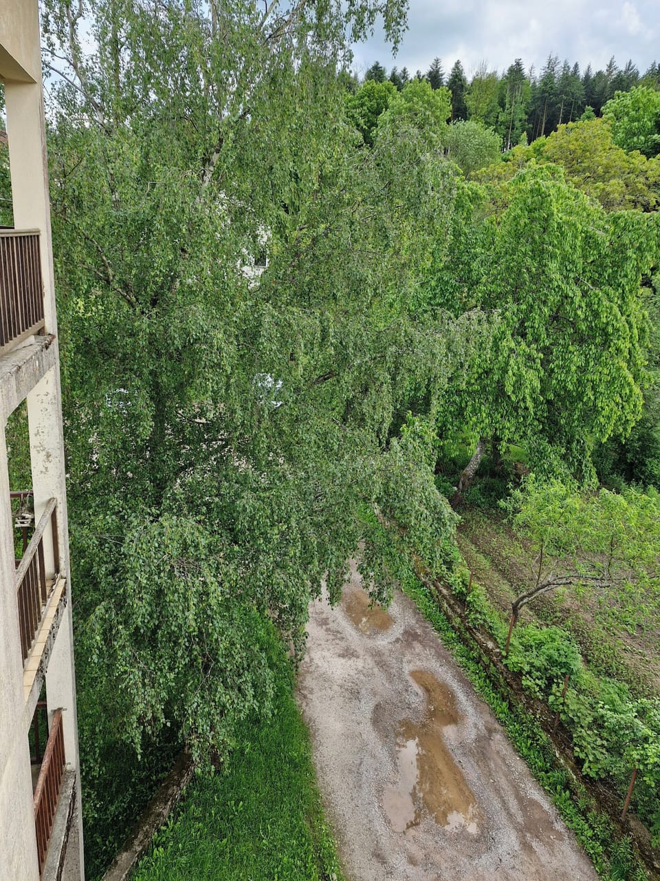 View from property