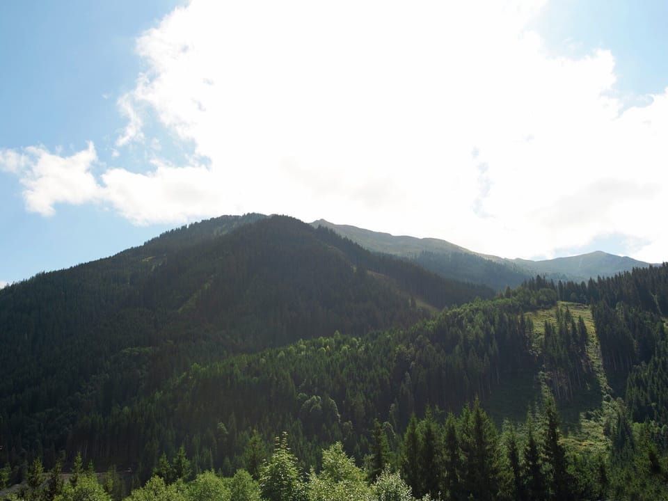 View from Holiday Home [summer]