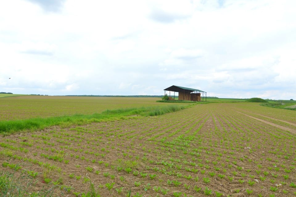 Surroundings [summer] (1-5 km)