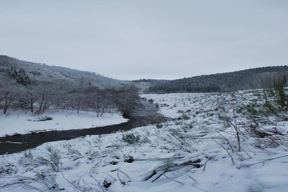 Region [winter] (>5 km)