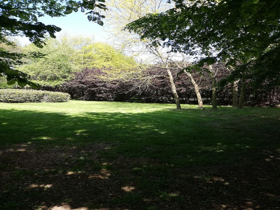 Garden [summer]