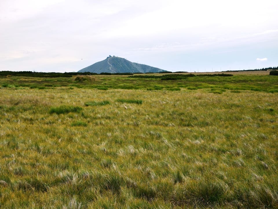 Region [summer] (>5 km)