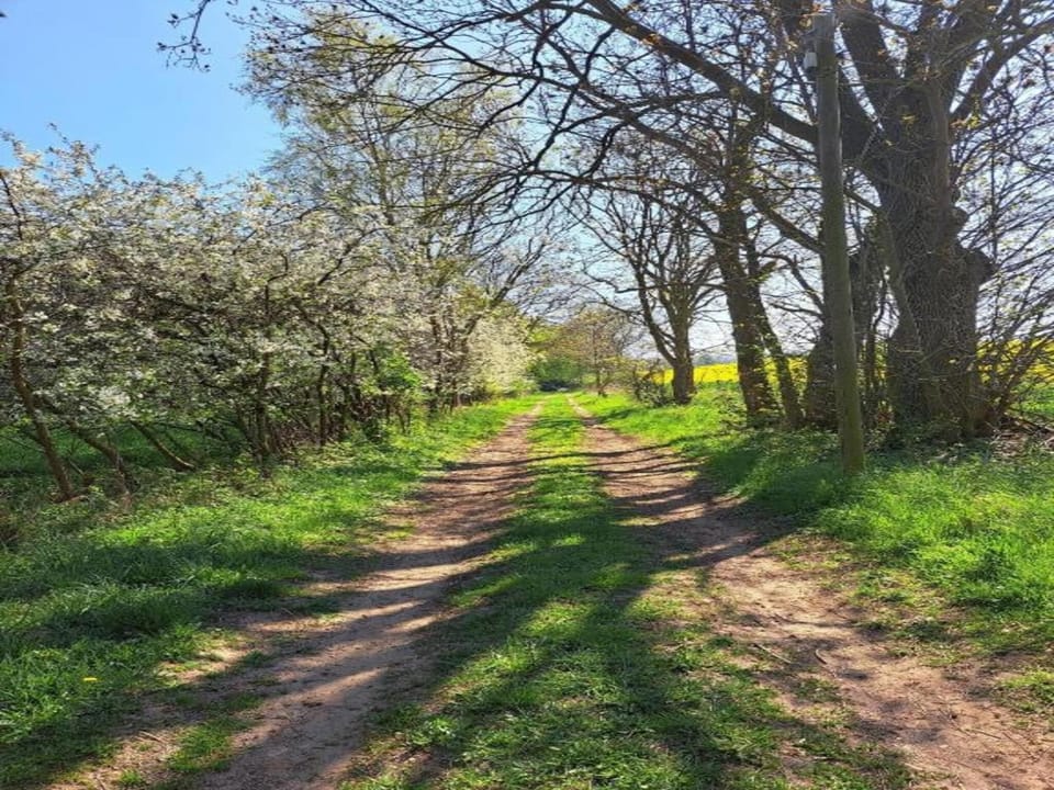 Region [summer] (>5 km)