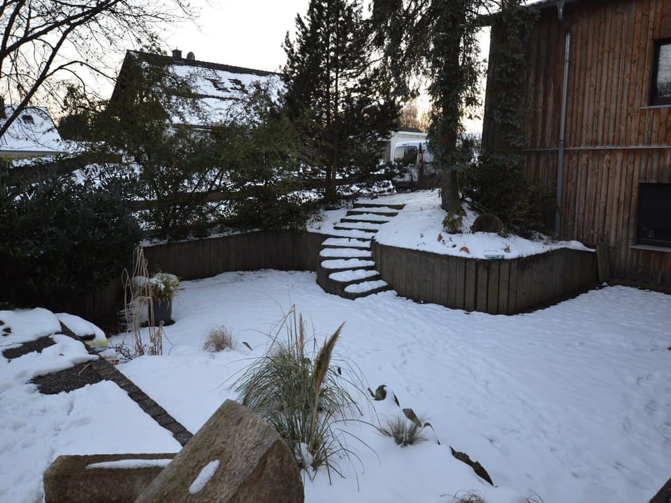 Garden [winter]