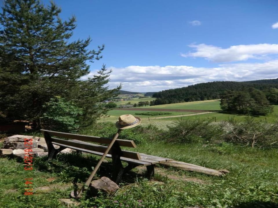 Region [summer] (>5 km)