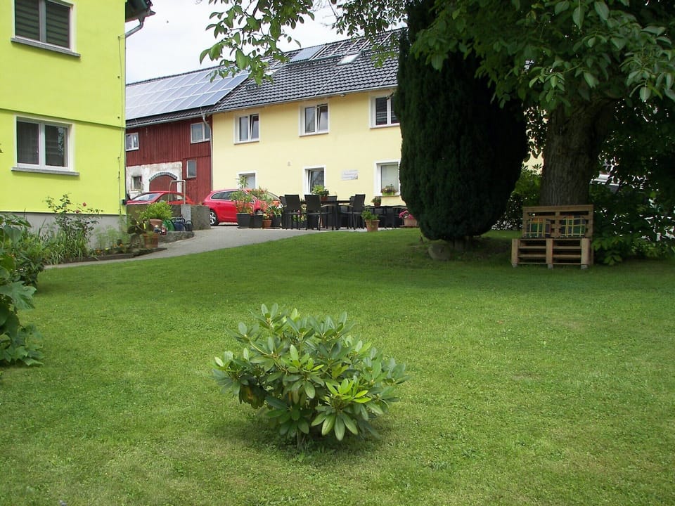 Garden [summer]
