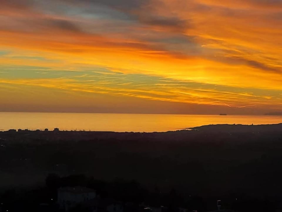 Region [summer] (>5 km)