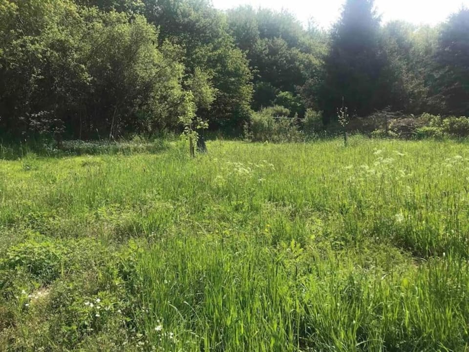 Region [summer] (>5 km)