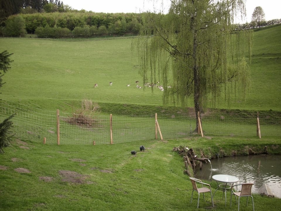 Immediate Surroundings [summer] (<1 km)