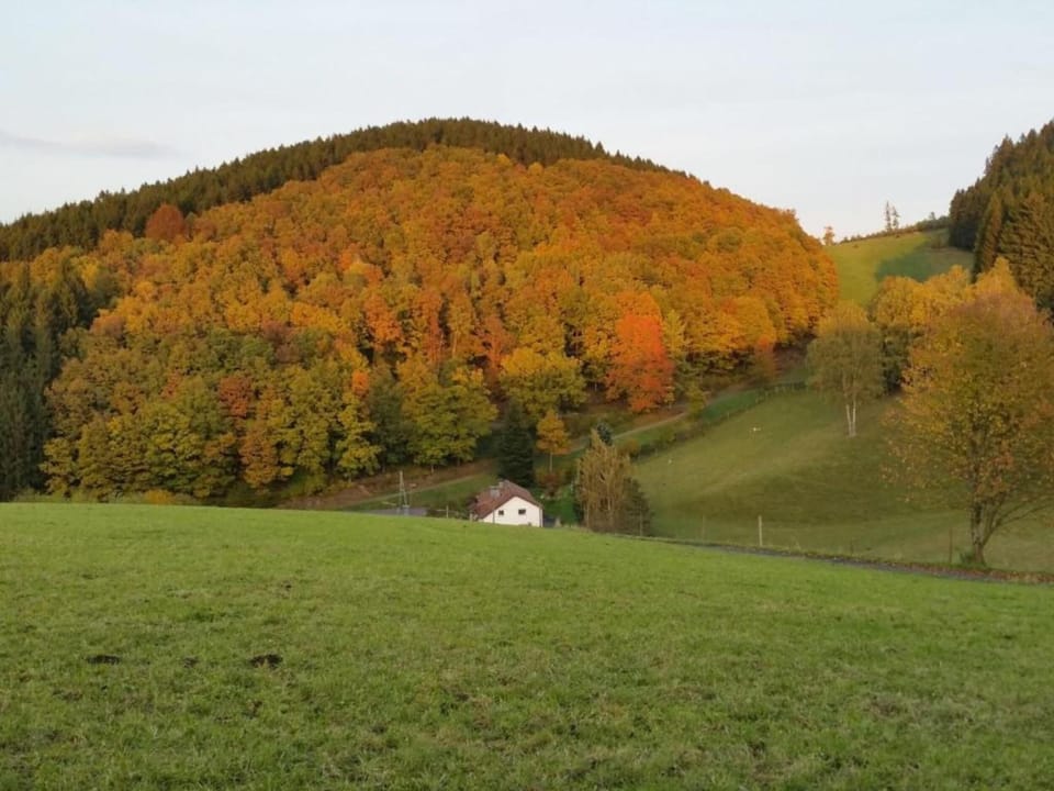 Region [summer] (>5 km)