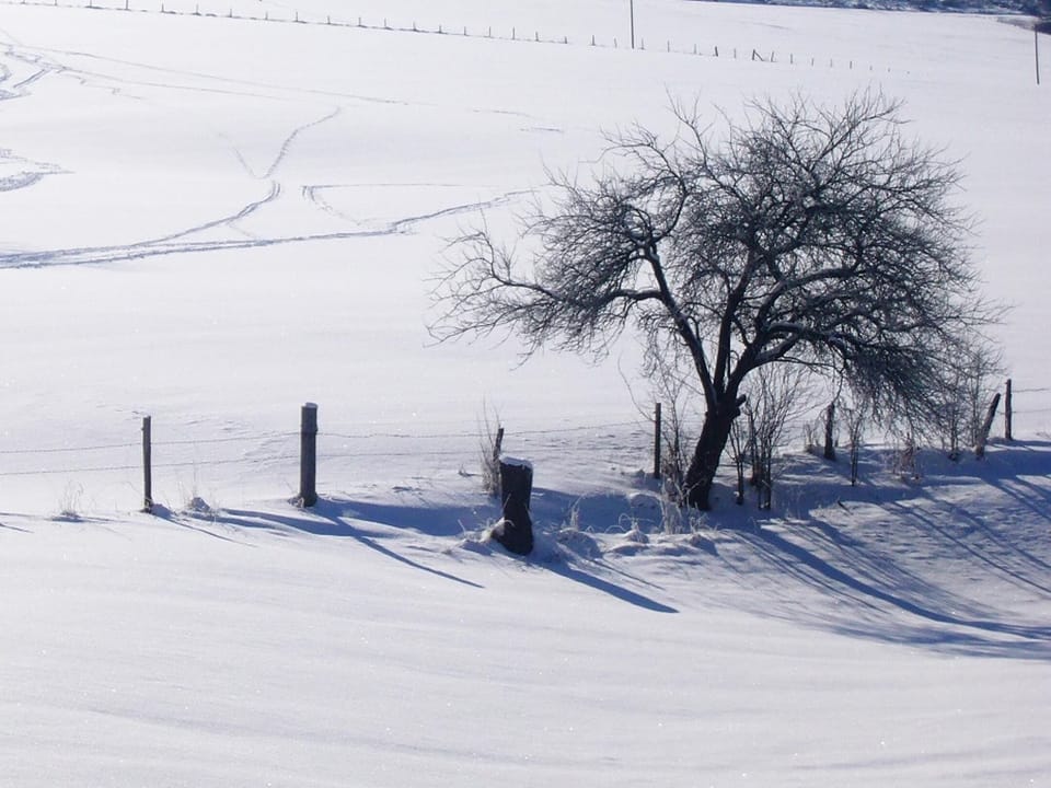 Immediate Surroundings [winter] (<1 km)