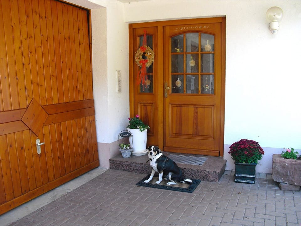 Entrance / Reception