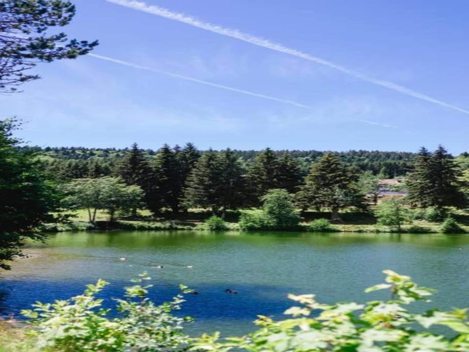 Region [summer] (>5 km)