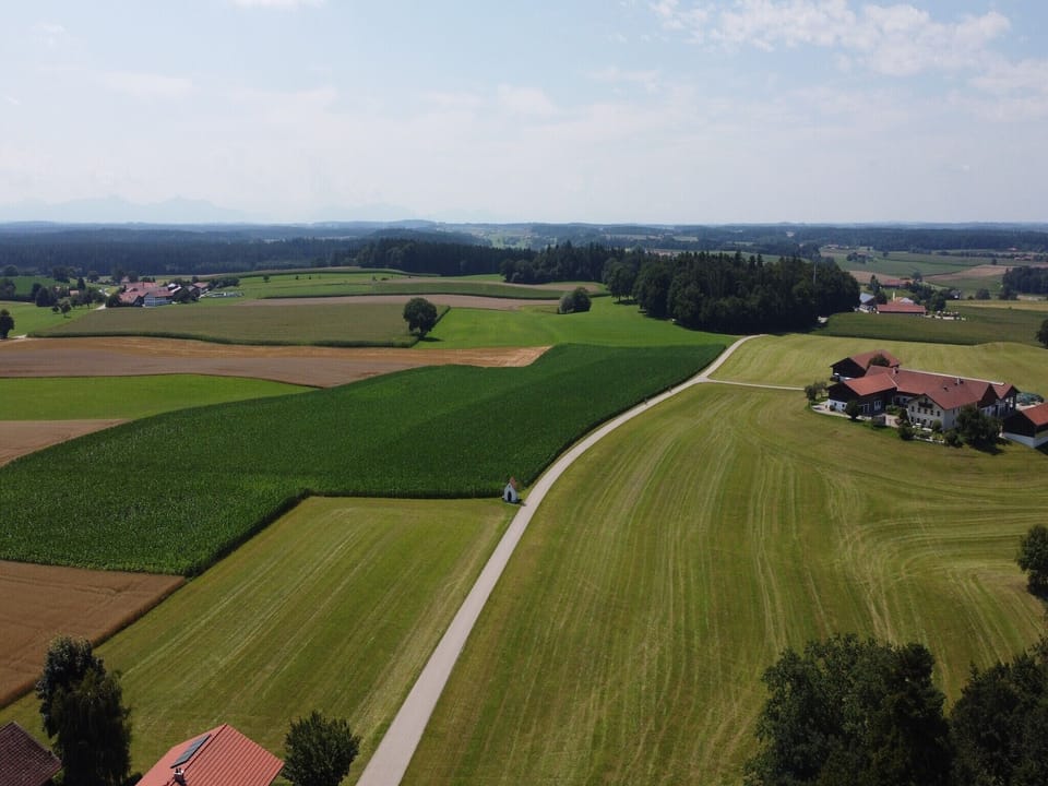 View from Holiday Home [summer]