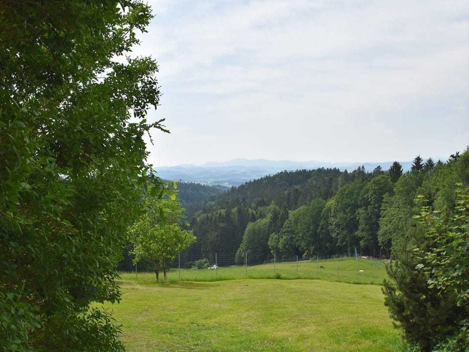 Surroundings [summer] (1-5 km)