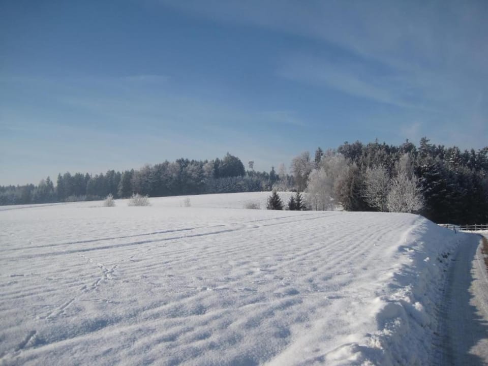 Region [winter] (>5 km)