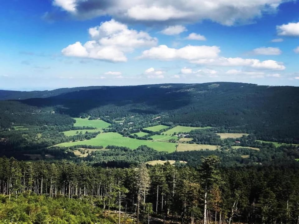 Region [summer] (>5 km)