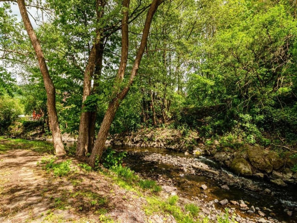 Surroundings [summer] (1-5 km)