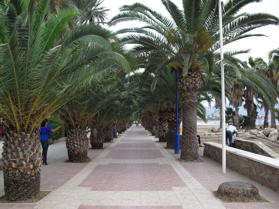 Surroundings [summer] (1-5 km)