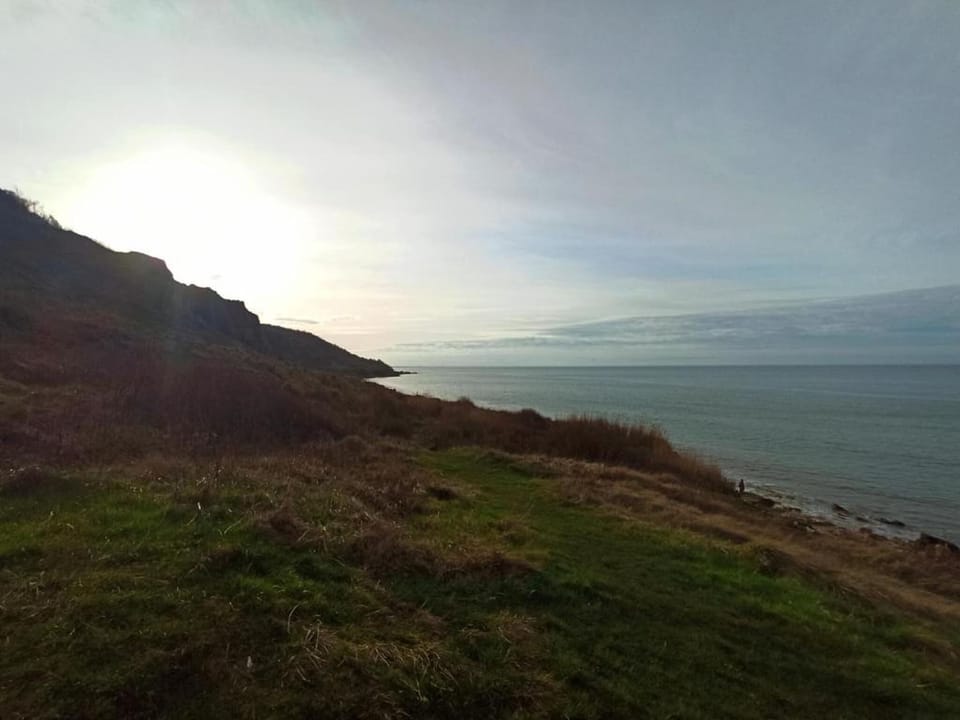 Region [summer] (>5 km)