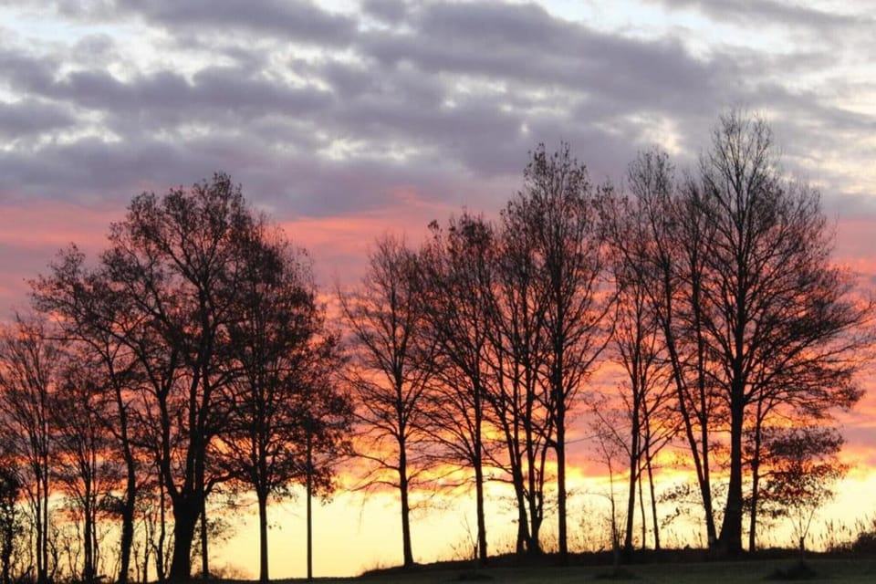 Surroundings [summer] (1-5 km)