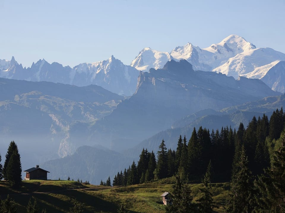 Region [summer] (>5 km)